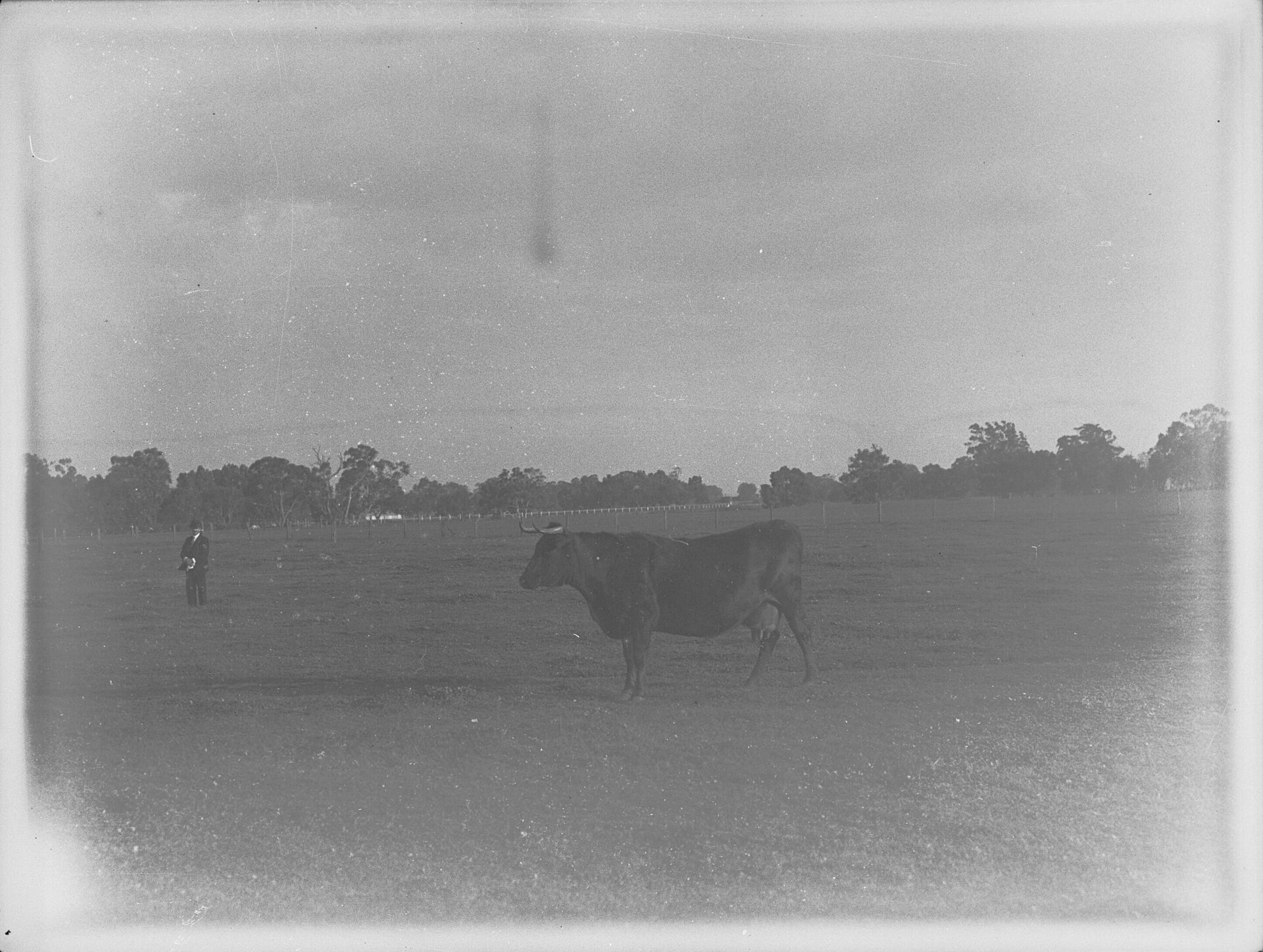 Australian farm